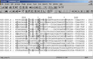 GeneDoc screenshot 1