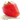 Strawberry Perl icon