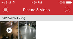 iVMS-4500 screenshot 2