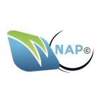 NAP - Network Analysis and Planning icon