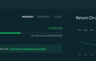 Budget Overview & ROAS