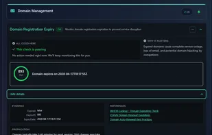 The domain report showing a detailed check.