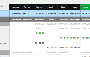 The Cash Flow Table shows you every transaction, beautifully organized by week or month.