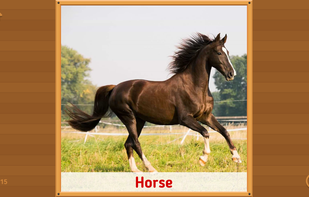 Flashcards for Kids. screenshot 1