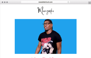 NewsletterHunt screenshot 2