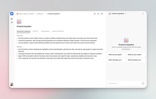 Chat with your Audience to learn about their pain points & needs