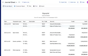 Bigcapital screenshot 2