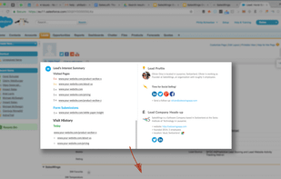 SalesWings screenshot 1
