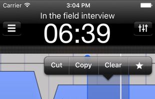 Hindenburg Field Recorder screenshot 1