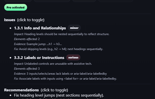 WCAGScans screenshot 1