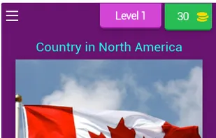 Flags Quiz - Guess the Country screenshot 1