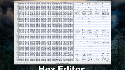 Inside the hex editor