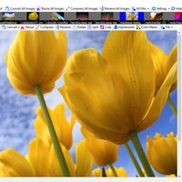 Color Picker from Image