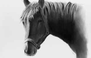 Graphiter screenshot 1