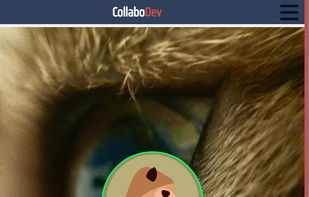 CollaboDev screenshot 1