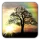 Sun Rise Live Wallpaper icon