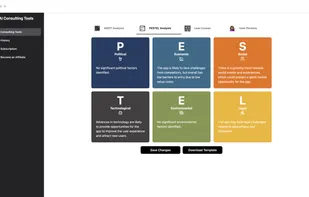 AI Consulting Tools screenshot 1