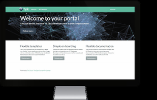 API Developer Portal