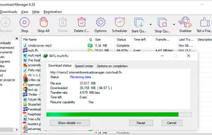 Internet Download Manager screenshot 1
