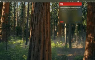 Audioscrobbler screenshot 1