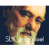 SLK_img2pixel icon
