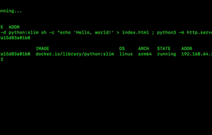 Apple Container screenshot 1