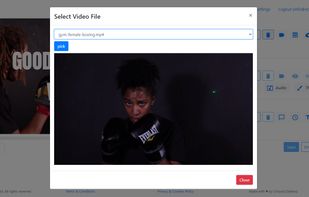 Pick which video is displayed when a criteria is met by the viewer