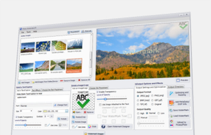 Protect 100s of Photos with few Clicks