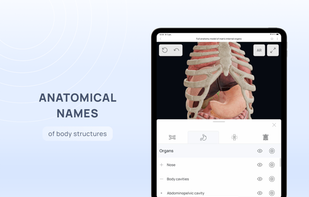 VOKA Anatomy Pro screenshot 3