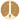 Pathway icon