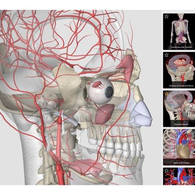 alternative to essential anatomy 3 alternative to essential anatomy 3