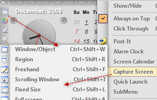 Capture .NET screenshot 1