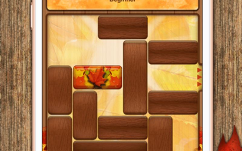 Unblock Wood Block Puzzle game on the App Store