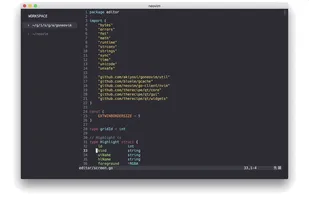 Goneovim screenshot 1