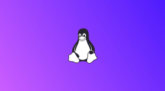A new NetFilter security flaw has been discovered in the Linux Kernel image