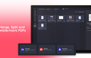 Sonic PDF screenshot 2