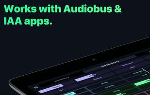 AudioKit L7 Looper screenshot 1