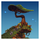 Project Spark Icon