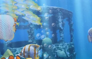 The real aquarium HD screenshot 3