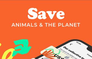 abillion screenshot 1