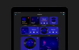 WidgetPod screenshot 1