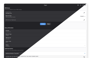 Digger DNS Lookup screenshot 3