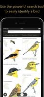 Collins Bird Guide screenshot 3