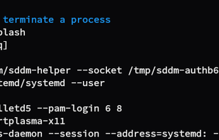 Autocomplete descriptions, process IDs accompanied by process names: