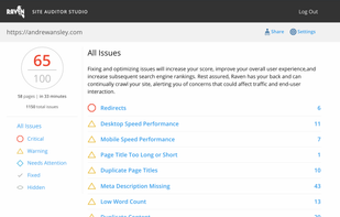 Raven Tools screenshot 1