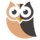 OwlPlug icon