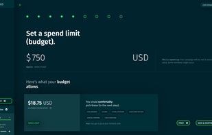 Creating a campaign - set your own budget. There are no minimums, but CAASie will show you what your budget will buy.