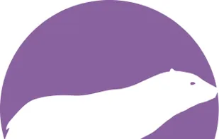 PolarProxy screenshot 1