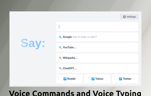 Voice Command Thumbnail