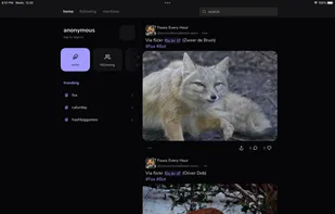 Takesama screenshot 2